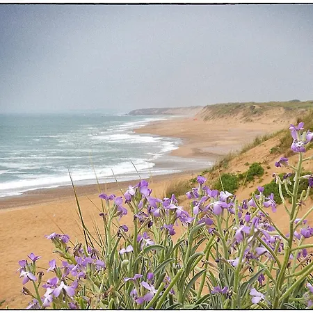 Studio Les Vagues A 150m De La Plage דירה *